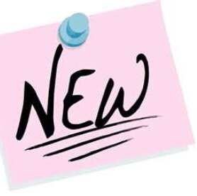 hosta BABY BLUE EYES mini rare tiny little thick folded pointed heart shaped leaves perennial = 1 Potted Garden Plant