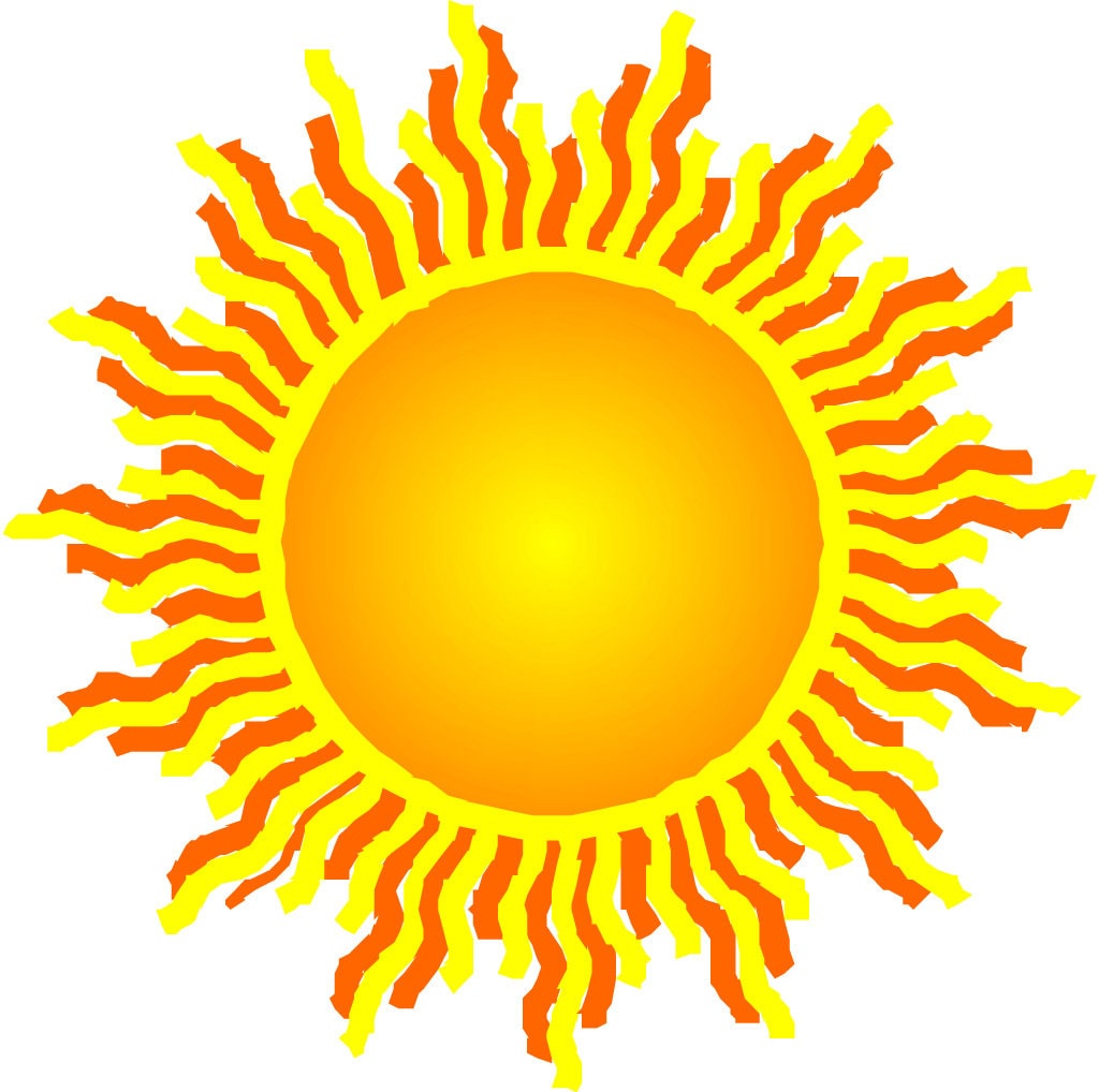 allium BLUE EDDY ornamental onion nodding purple lavender flowers hardy perennial = 1 Potted Garden Plant