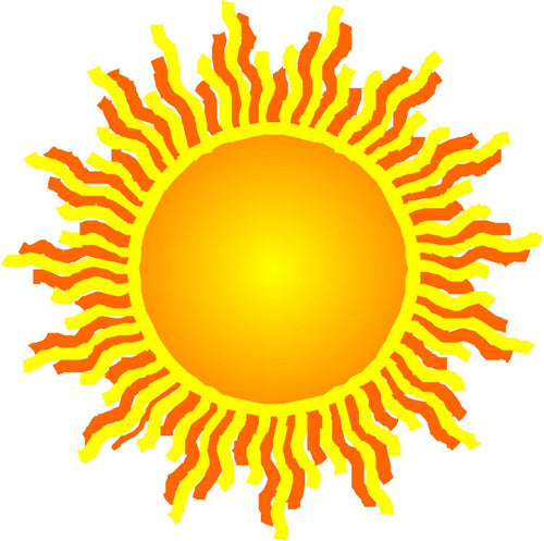 allium BLUE EDDY ornamental onion nodding purple lavender flowers hardy perennial = 1 Potted Garden Plant