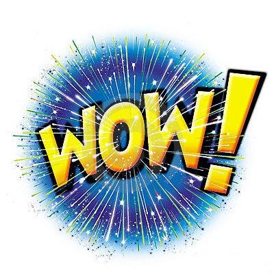 hosta BLUE JEANS BLING medium creamy new rare tight rippled wavy frosty blue perennial = 1 Potted Garden Plant