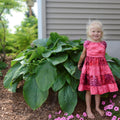hosta EMPRESS WU large thick giant huge gigantic Proven Winners green perennial = 1 Potted Garden Plant